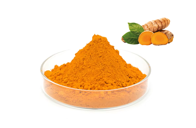 Turmeric Extract Powder
